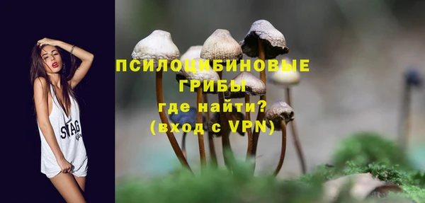 СК Арсеньев