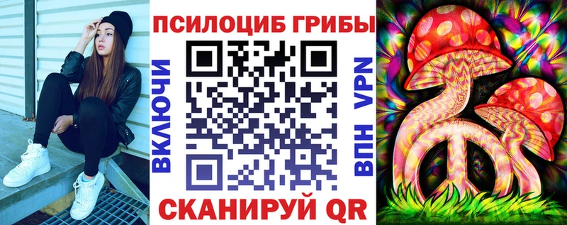 Галлюциногенные грибы Psilocybe  Чистополь 