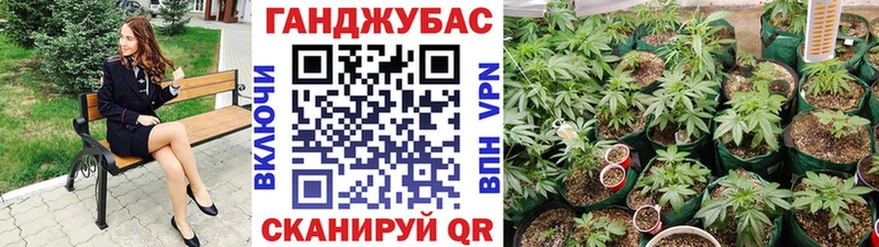 blacksprut рабочий сайт  Чистополь  Бошки Шишки THC 21% 